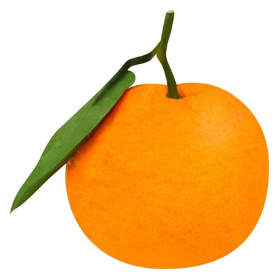 Mandarin, Satsuma