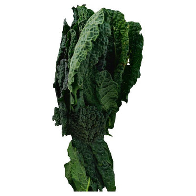 Kale, Lacinato