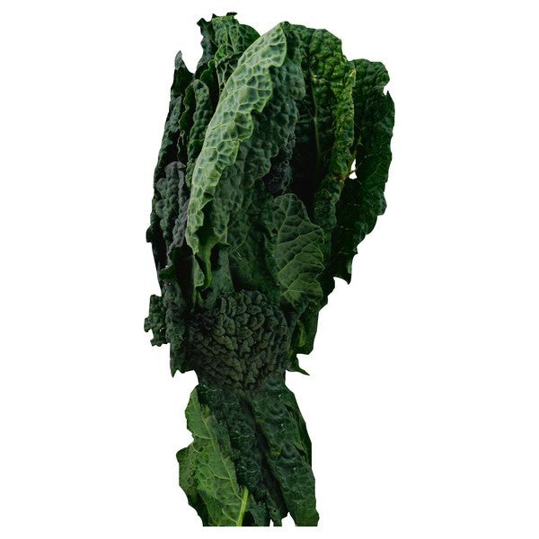 Kale, Lacinato