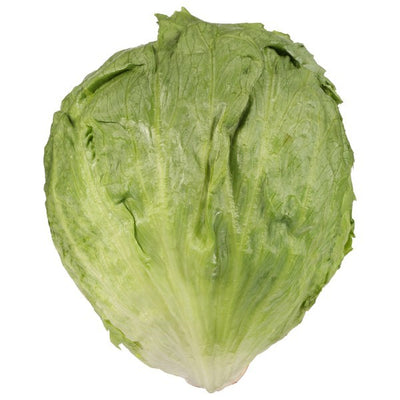 Iceberg Lettuce, Organic