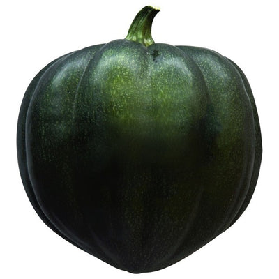 Squash, Acorn