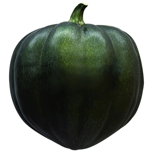Squash, Acorn