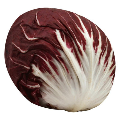 Radicchio
