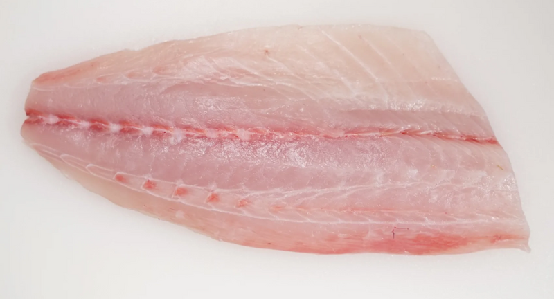 Kanpachi Fillet (Skn/Off)
