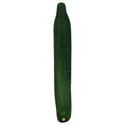 Cucumber, English