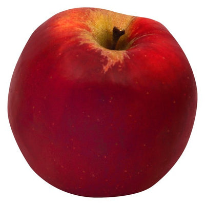 Apple, Jonathan