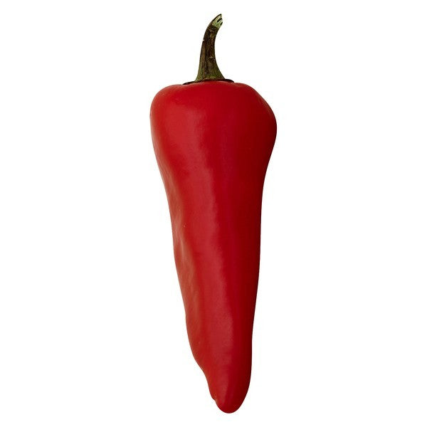 Pasilla Pepper, Red