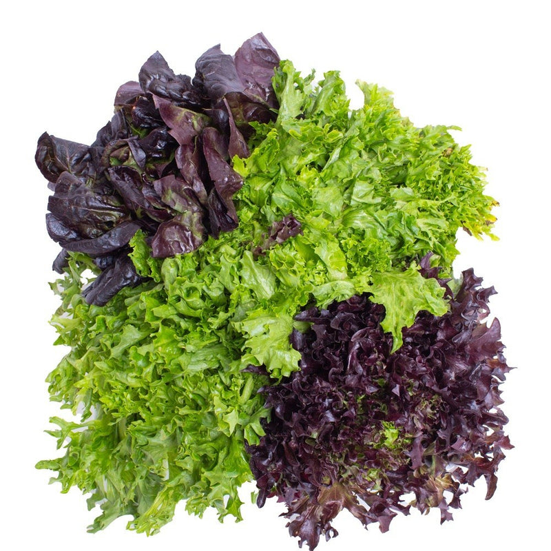 Tuscan Salads Farmer’s Selection