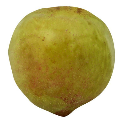 Plumcot, Green