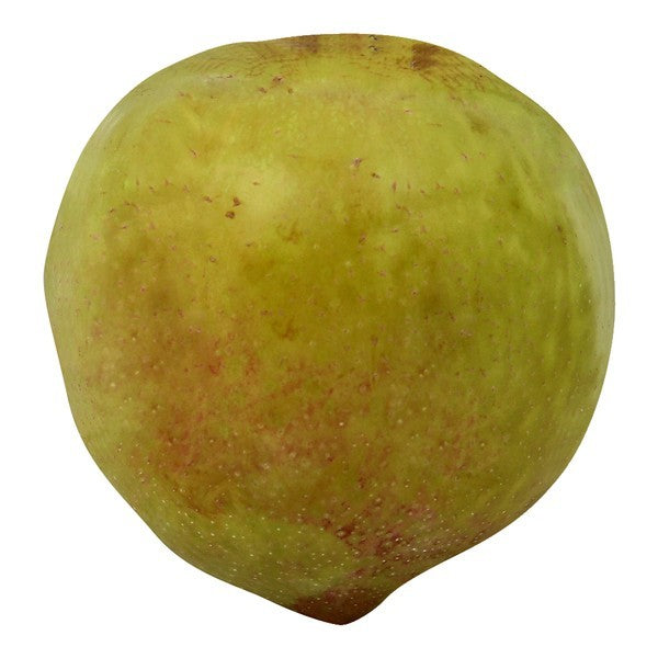 Plumcot, Green