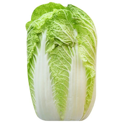 Cabbage, Napa