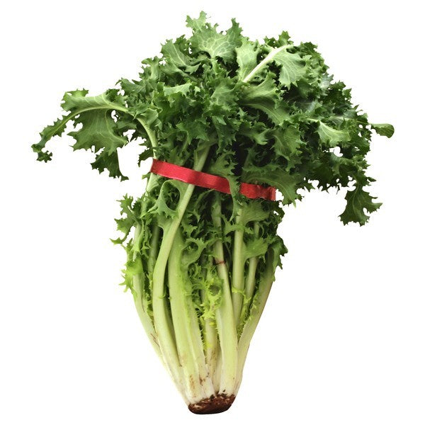 Escarole, Green