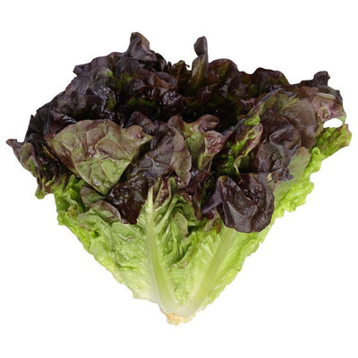 Leaf Lettuce, Organic, Red