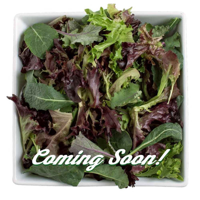Tuscan Salads Rustic Kale