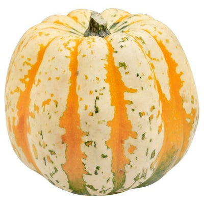 Squash, Carnival