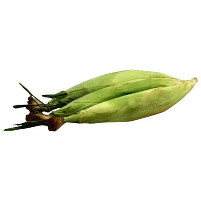 Corn, Sweet, White