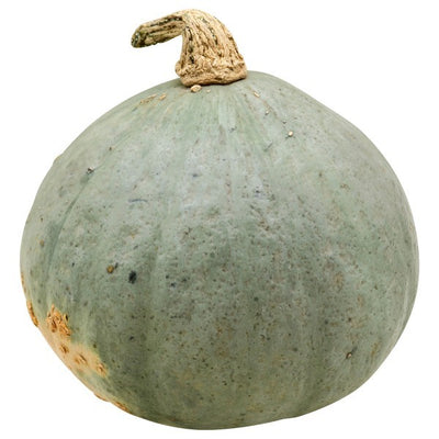 Squash, Hubbard