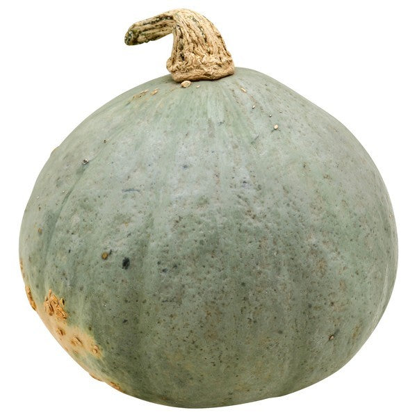 Squash, Hubbard