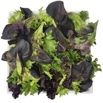 Tuscan Salads Scarlet Butter