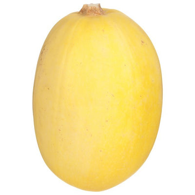 Spaghetti Squash, Organic