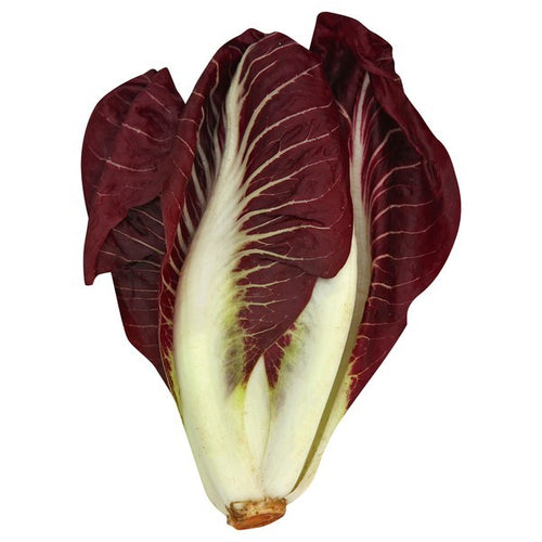 Belgian Endive, Red