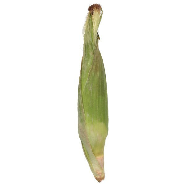 Corn, Organic