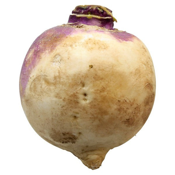 Turnip, Purple Toop