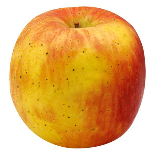 Apple, Lady Alice