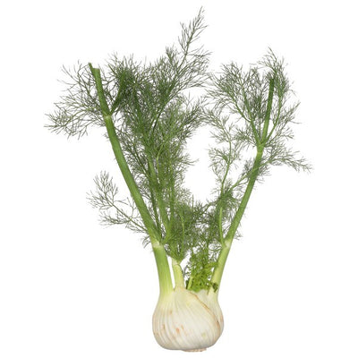 Fennel, Organic