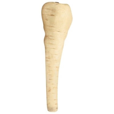 Parsnip