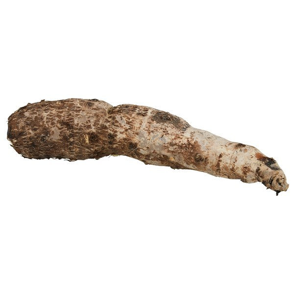 Malanga, White