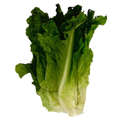 Lettuce, Green Leaf