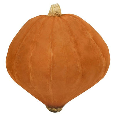 Squash, Golden Nugget
