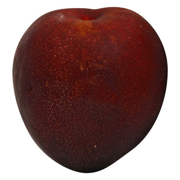 Plumcot, Black