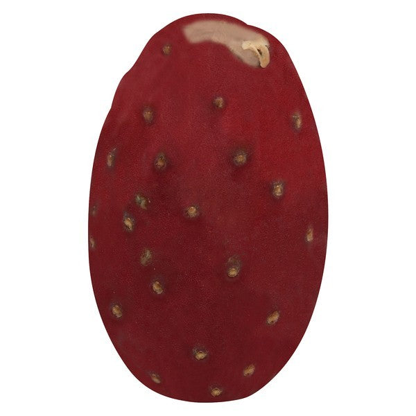 Prickly Pear