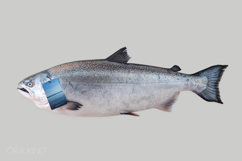 WHOLE Kvarory Salmon