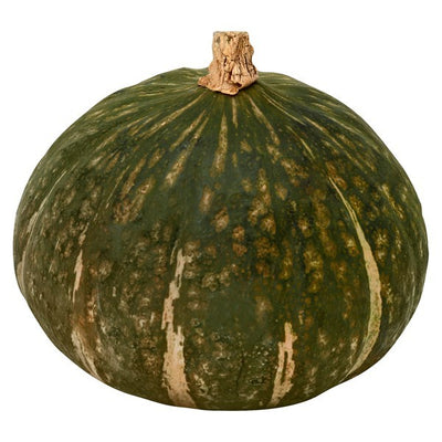 Squash, Buttercup