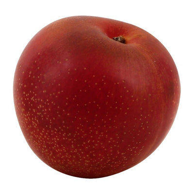 Plumcot