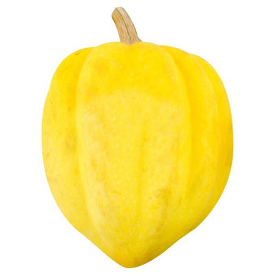Squash, Acorn, White