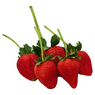 Strawberry, Long Stem