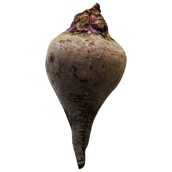 Beetroot