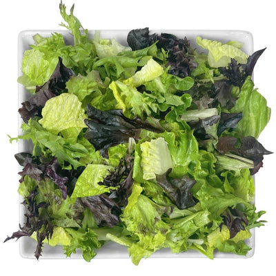 Tuscan Salads Color & Crunch
