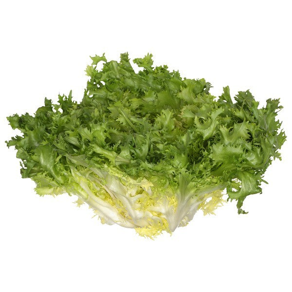 Endive, Organic