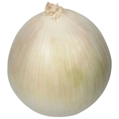 Onion, Organic, White