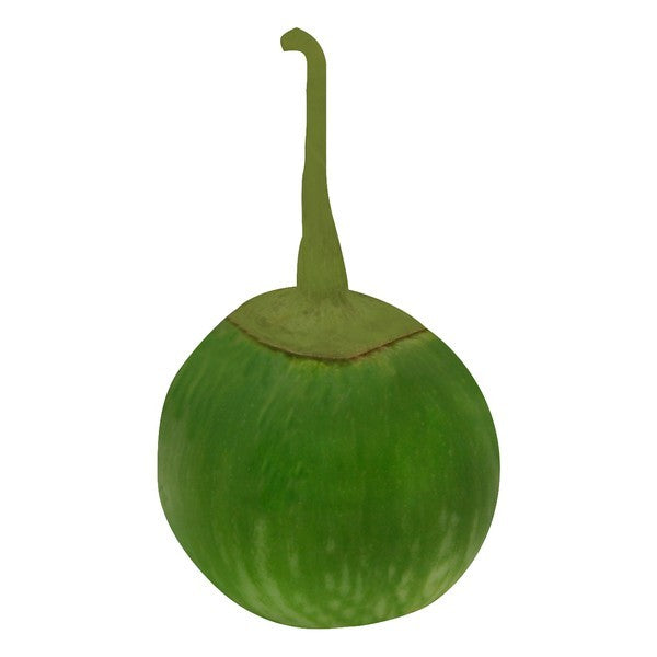 Eggplant, Thai