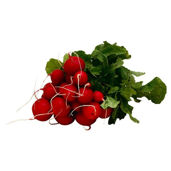 Radishes, Red