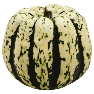 Squash, Sweet Dumpling