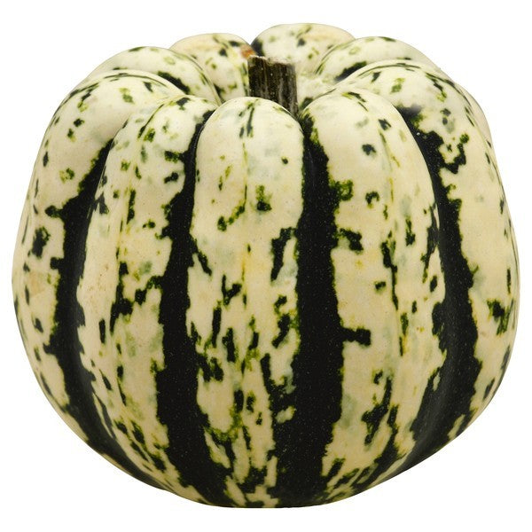 Squash, Sweet Dumpling