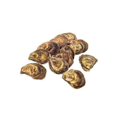 Oyster East Coast Tatamagouche | Fresh