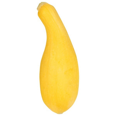 Butternut Squash